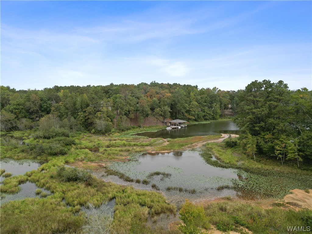 8 Holly Springs Road, North Port, Alabama image 9