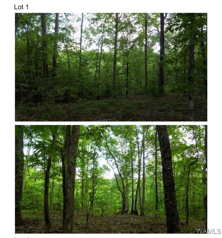 5890 Garner Road, Tuscaloosa, Alabama image 1