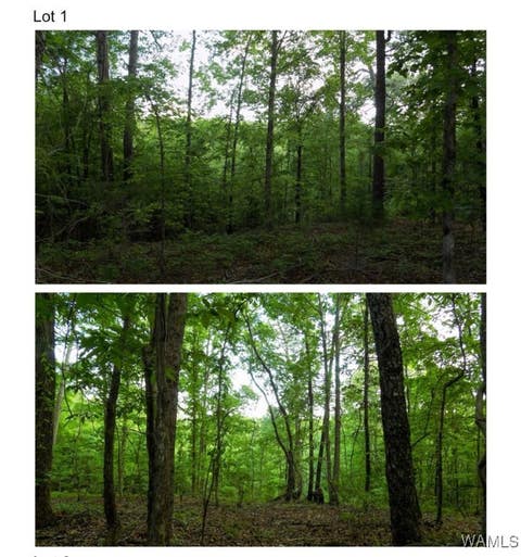 Vacant Land For Sale - 5890 Garner Road<br/> Tuscaloosa County, Tuscaloosa, AL 35405