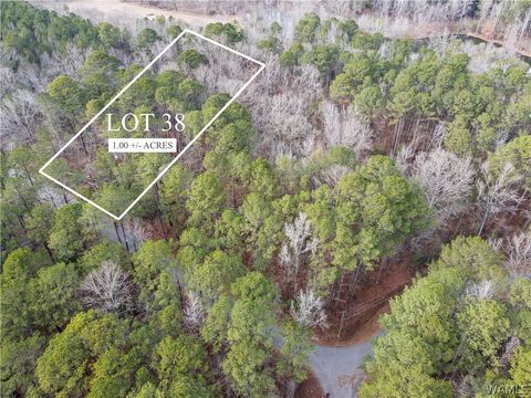 Lot 38 Grandview Northport AL 35475