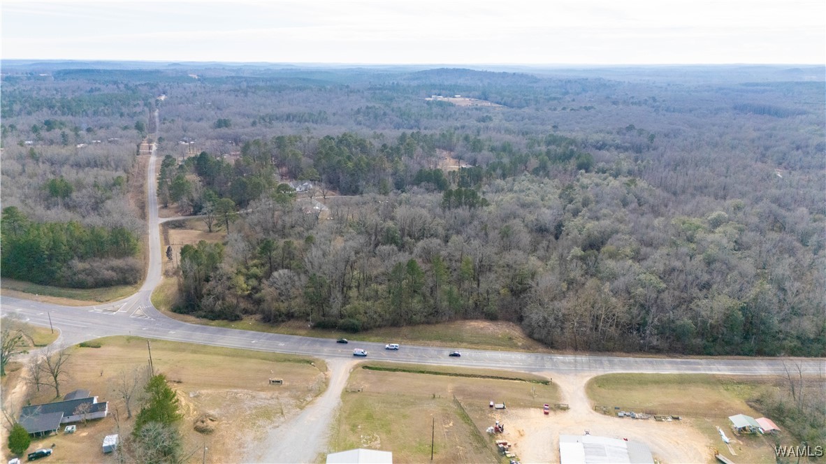 Browns Road, Gordo, Alabama image 4