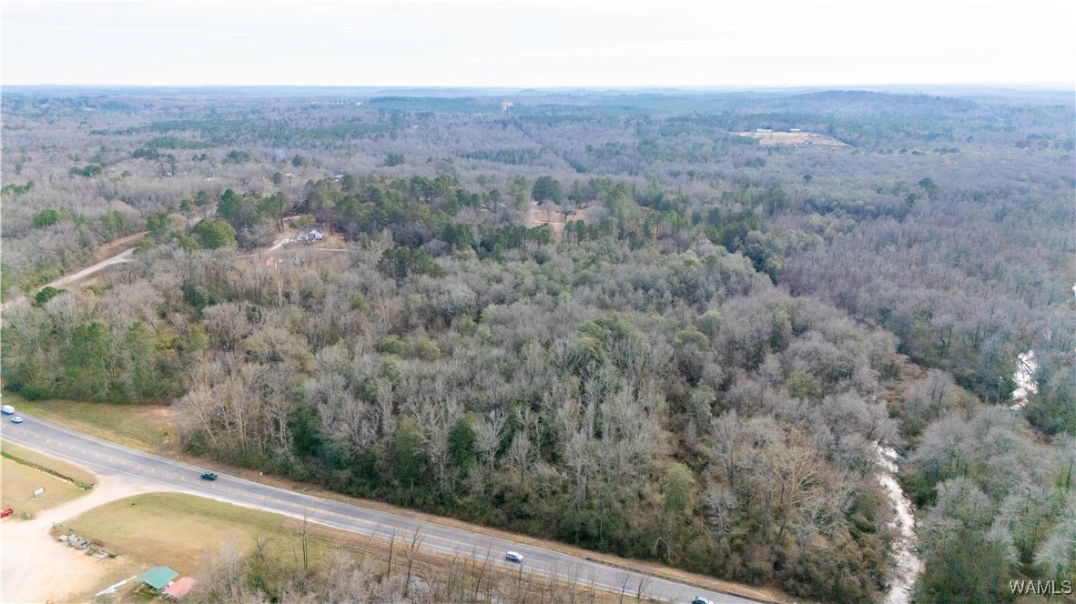 Browns Road, Gordo, Alabama image 5