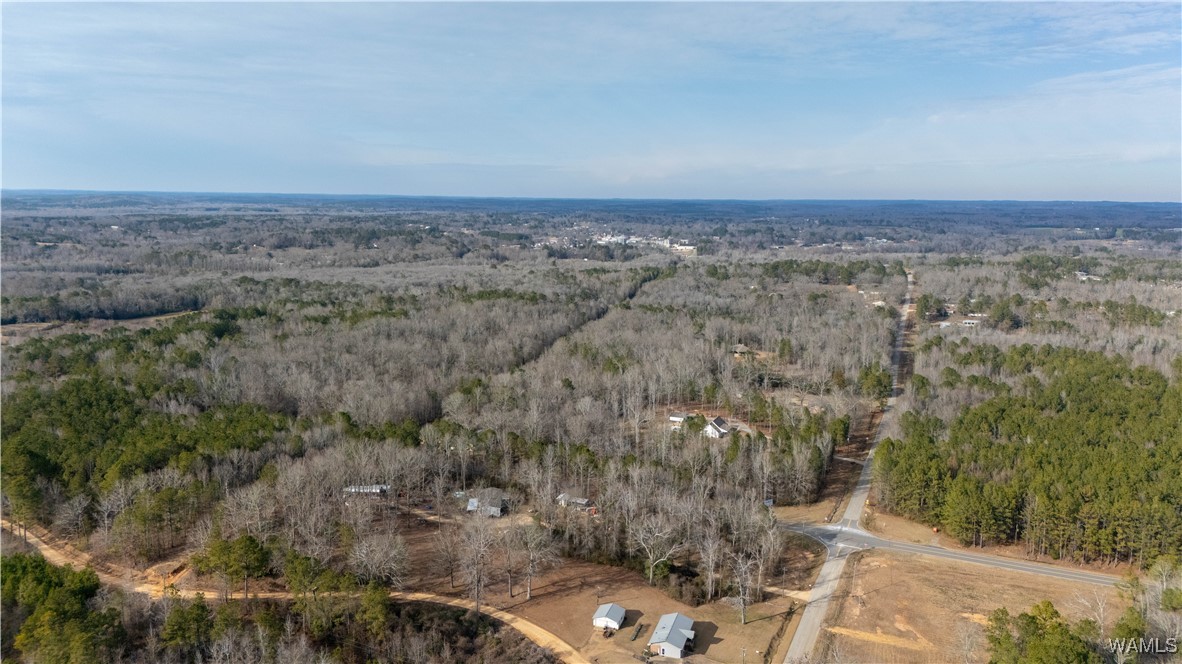 Browns Road, Gordo, Alabama image 8