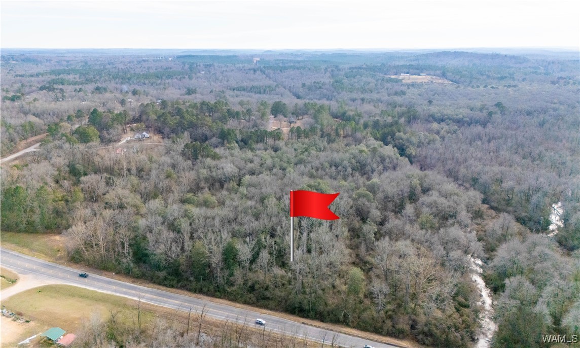 Browns Road, Gordo, Alabama image 1