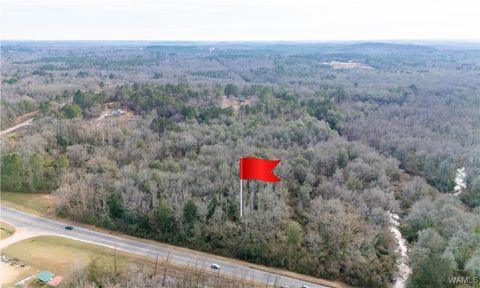 Vacant Land For Sale - Browns Road<br/> Gordo, AL 35466