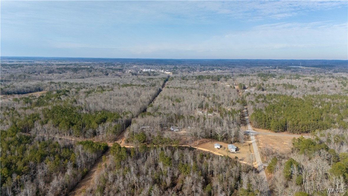 Browns Road, Gordo, Alabama image 9
