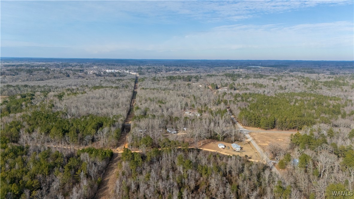Browns Road, Gordo, Alabama image 10
