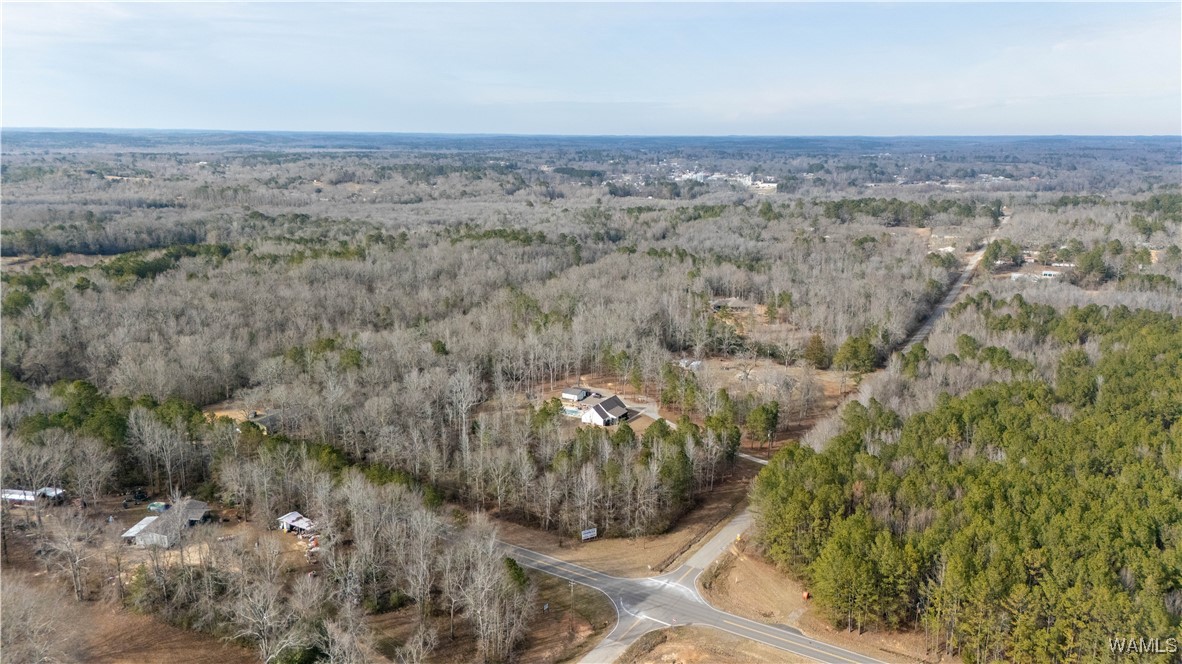 Browns Road, Gordo, Alabama image 7