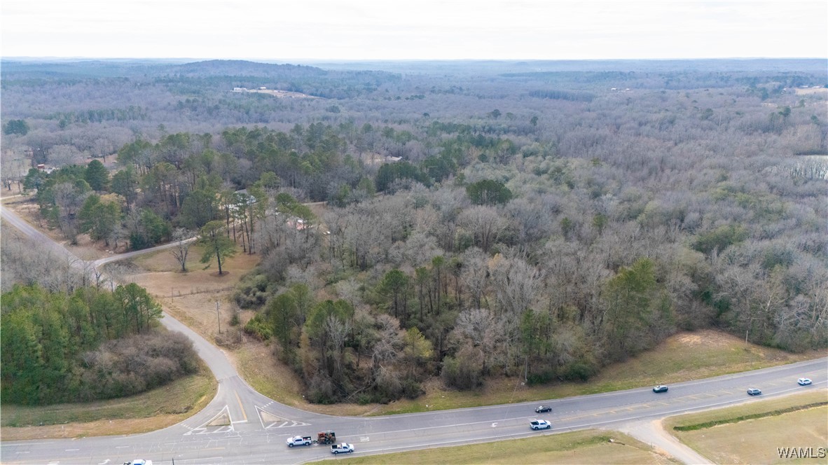 Browns Road, Gordo, Alabama image 3