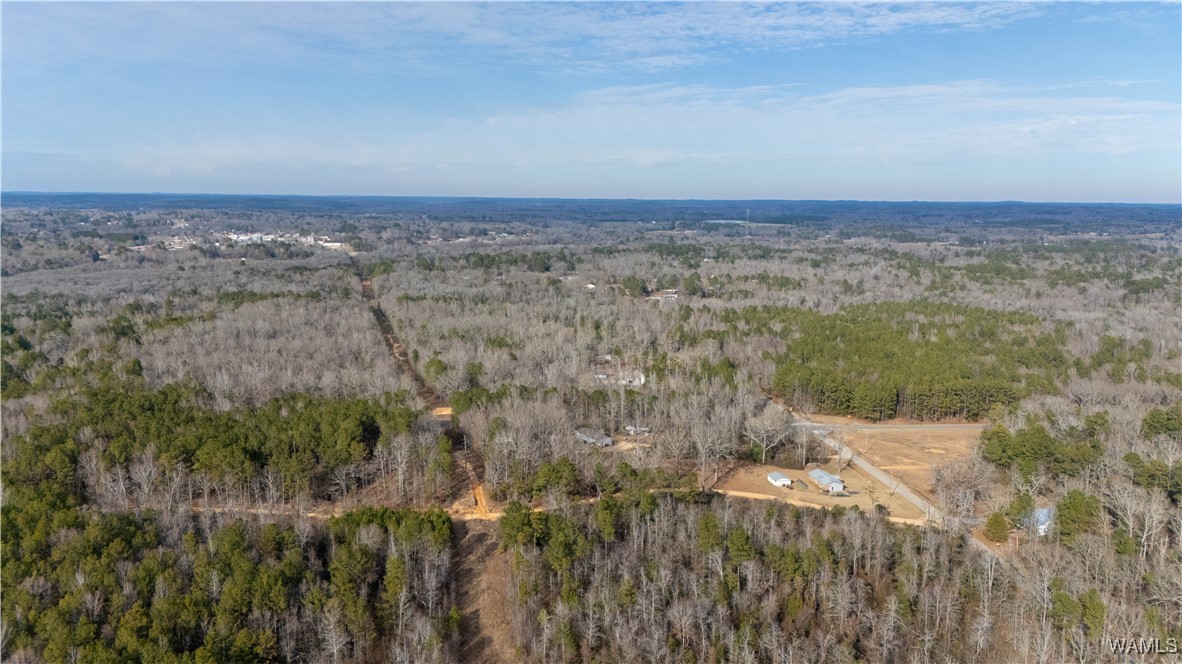 Browns Road, Gordo, Alabama image 11