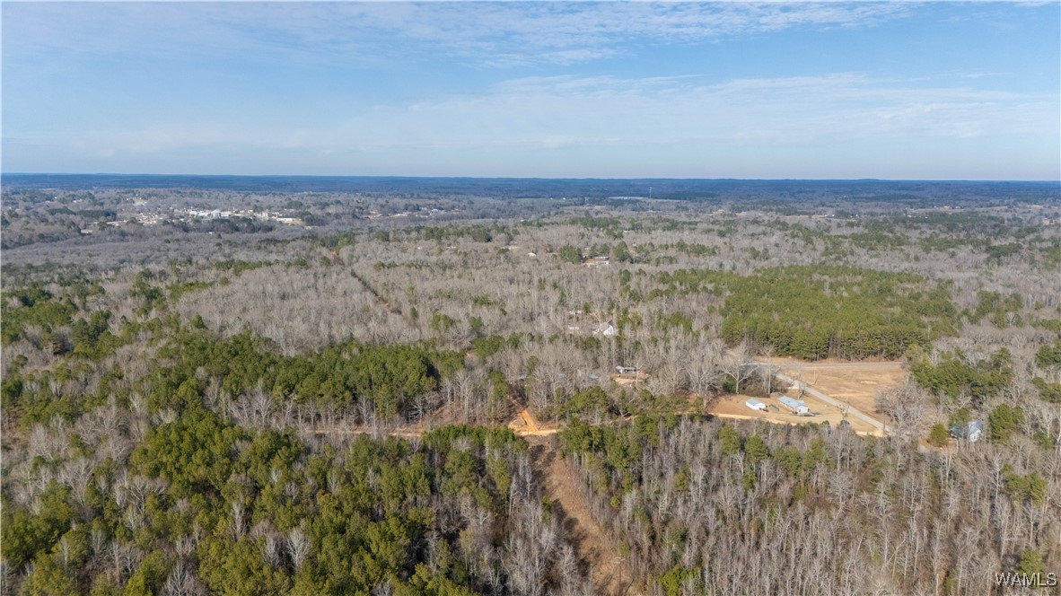 Browns Road, Gordo, Alabama image 12