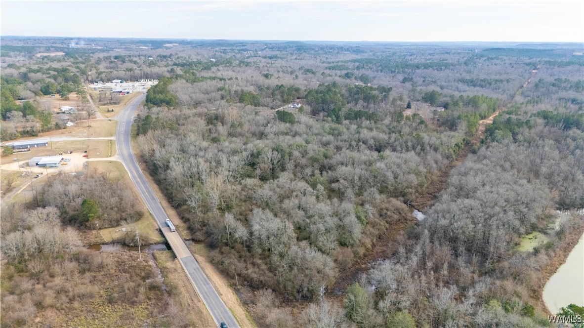 Browns Road, Gordo, Alabama image 6
