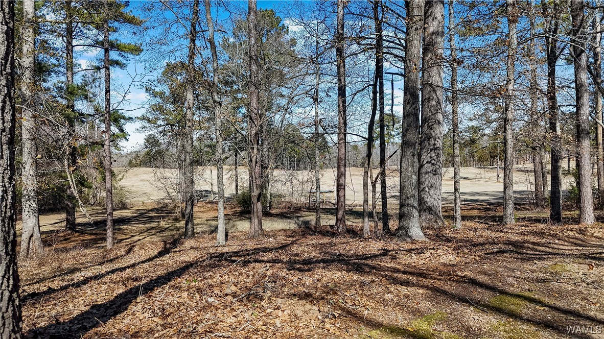 493 2nd Street, Centreville, Alabama image 7