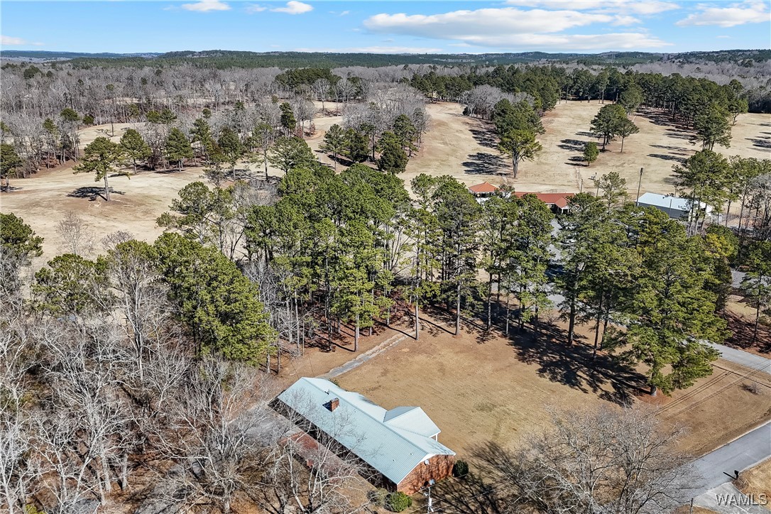 493 2nd Street, Centreville, Alabama image 9