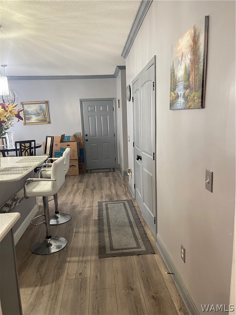 6210 Mimosa Gardens Circle