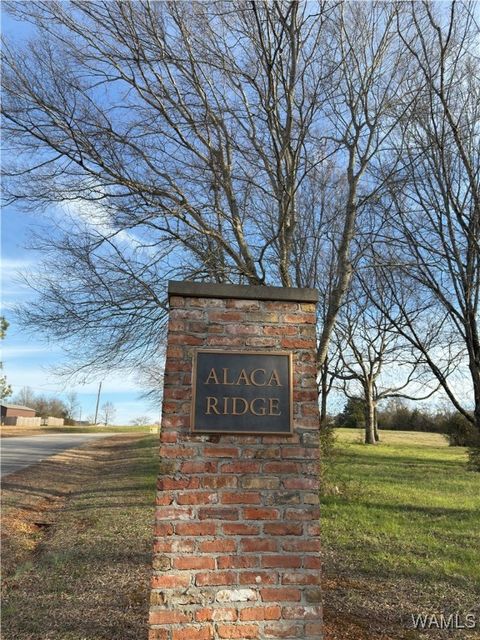 Vacant Land For Sale - 7 Alaca Ridge Drive<br/> Hale County, Moundville, AL 35474
