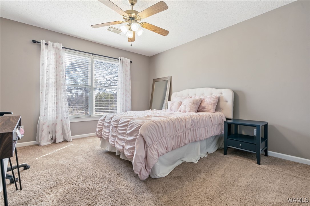 8520 Diamond Oak Drive, Tuscaloosa, Alabama image 22