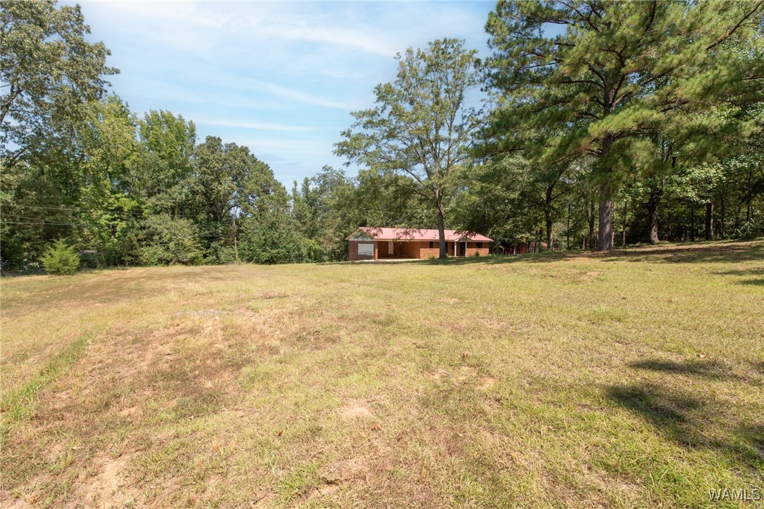 13757 Crystal Lake Drive, Coker, Alabama image 6