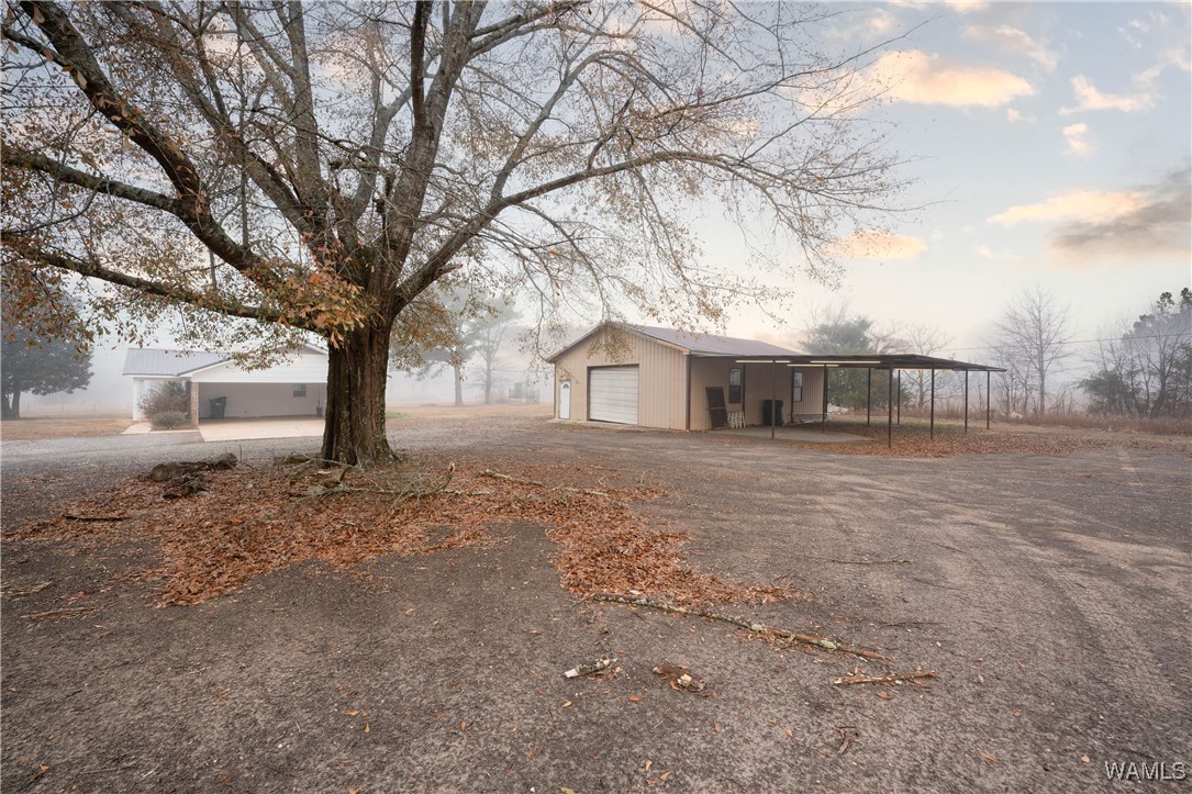 12243 County Line Rd Rd, Moundville, Alabama image 12