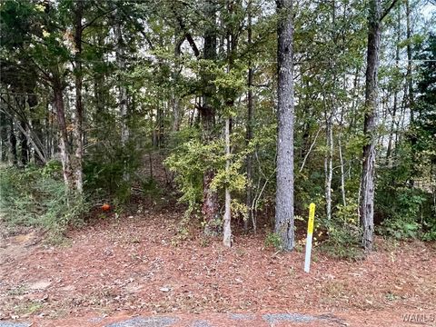 Vacant Land For Sale - 00 8th Avenue<br/> Fayette, AL 35555