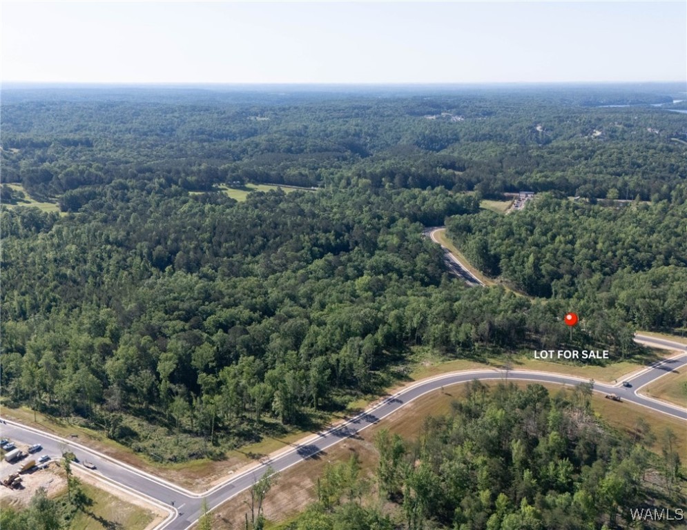 11 Lake Island Rd Dr, Tuscaloosa, Alabama image 12