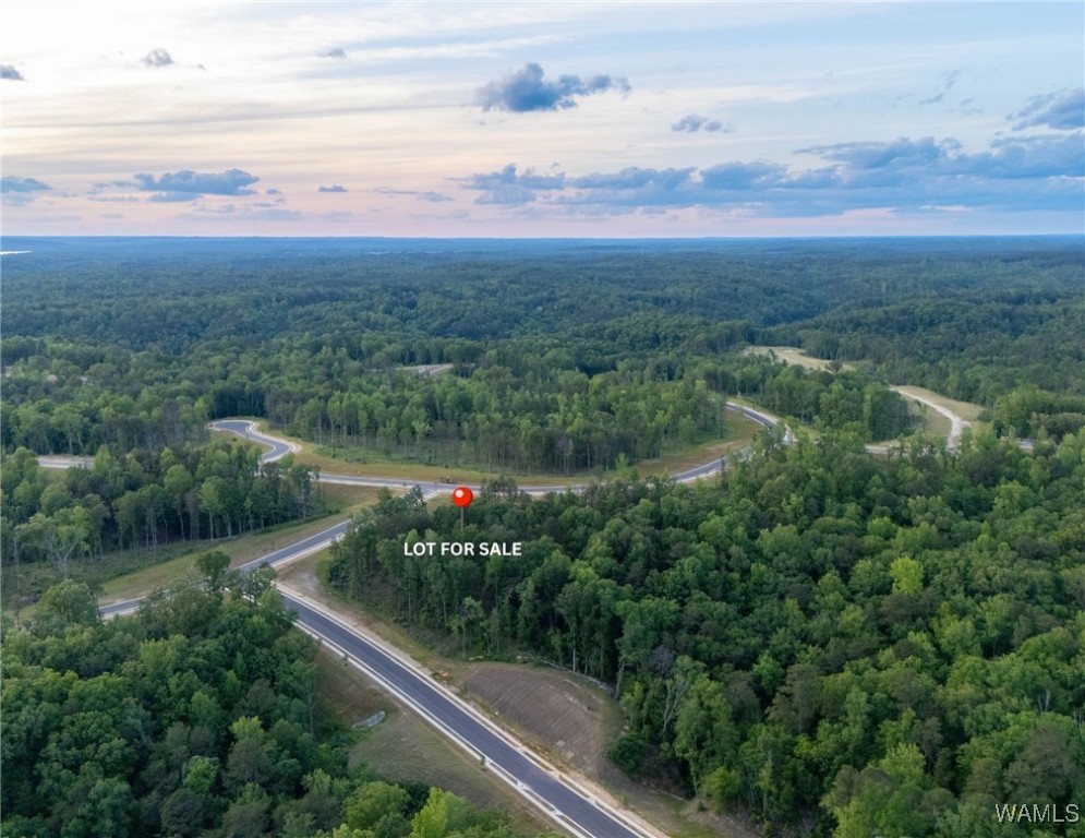 11 Lake Island Rd Dr, Tuscaloosa, Alabama image 11