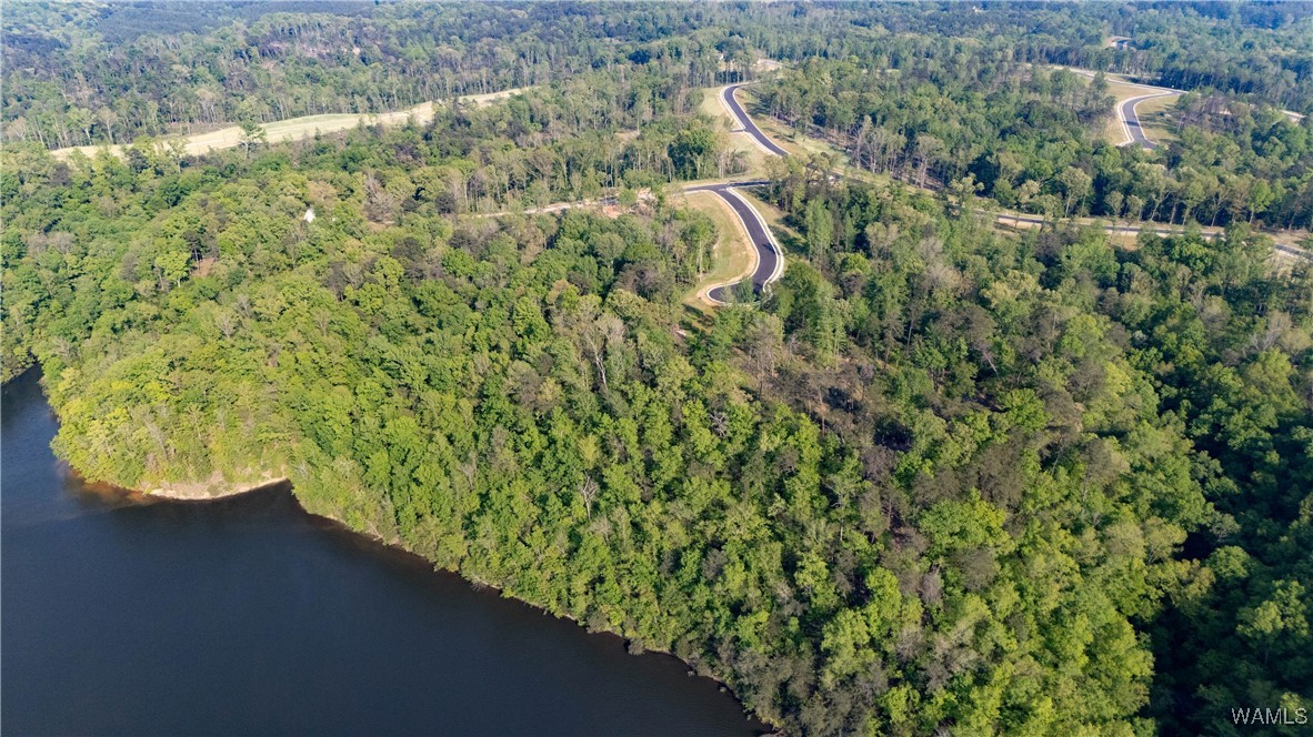 16 Fiji Way, Tuscaloosa, Alabama image 8