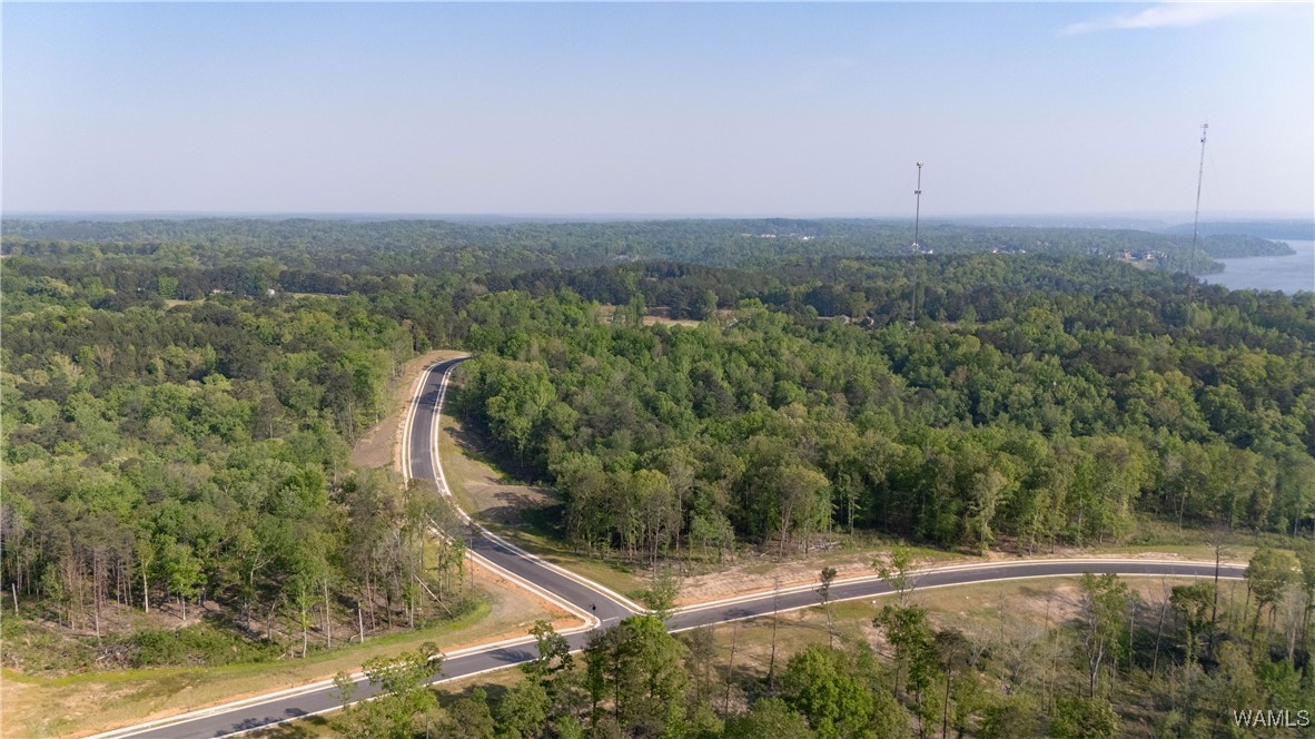 16 Fiji Way, Tuscaloosa, Alabama image 19