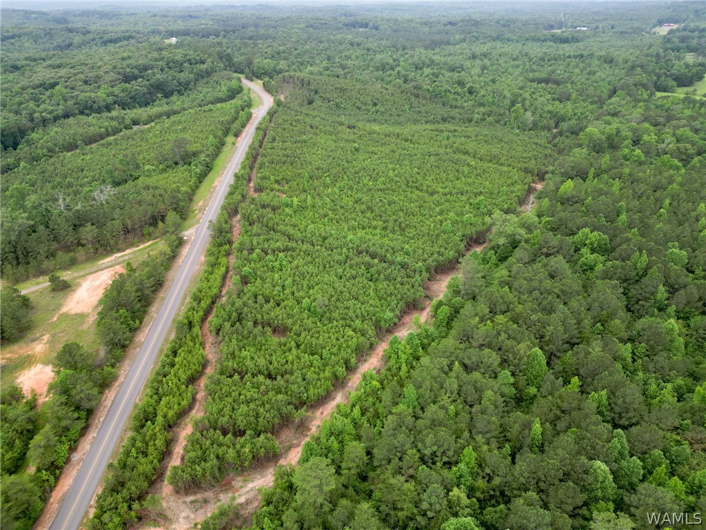 Lot 5 John Swindle Road, North Port, Alabama image 9