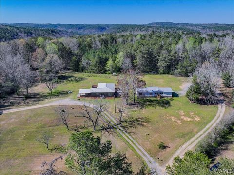 Homes For Sale - 16598 Lock 17 Road<br/> Brookwood, AL 35444