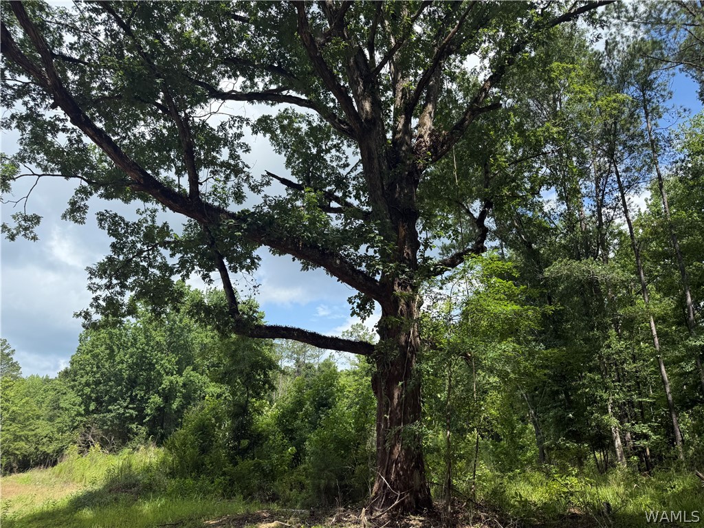 Photo 1 of 8 — 2 Samson Clements Loop Road, Berry, AL 35546