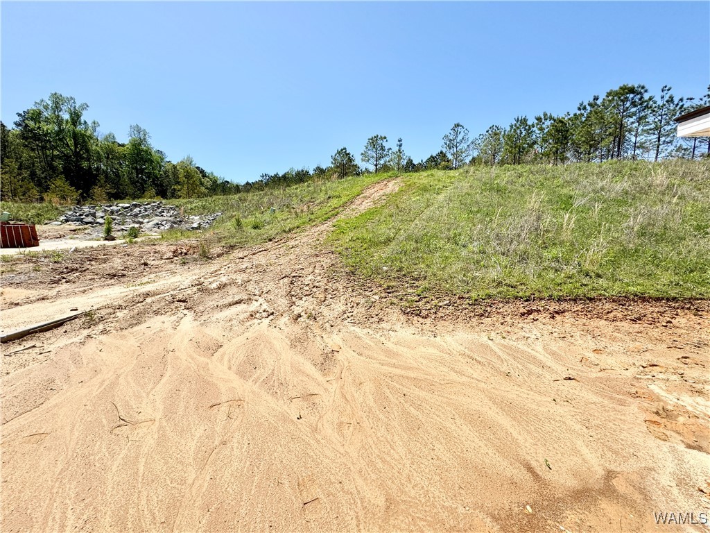 7440 Huntland Lane, Cottondale, Alabama image 22