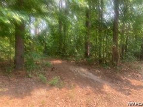 Vacant Land For Sale - 000 Georgia Loop Road<br/> Bibb County, Woodstock, AL 35188