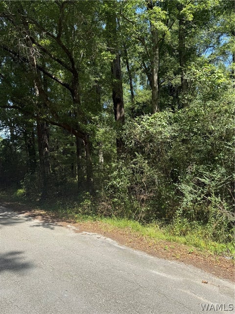 Vacant Land For Sale - 5th Avenue<br/> Pickens County, Reform, AL 35481