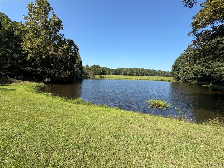 Photo 1 of 16 — 308 Carriage Ln, Alabaster, AL 35007