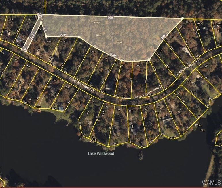 Lake Wildwood Drive, Cottondale, Alabama image 1