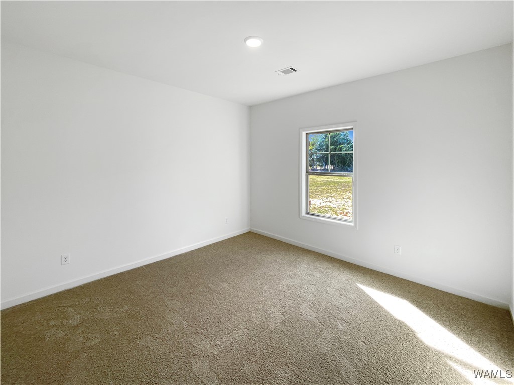 13871 Gilliam Road, Berry, Alabama image 12