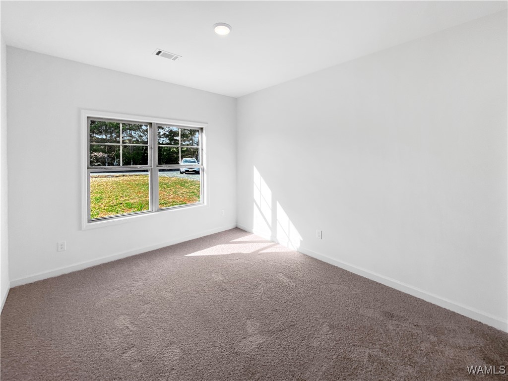 13871 Gilliam Road, Berry, Alabama image 17
