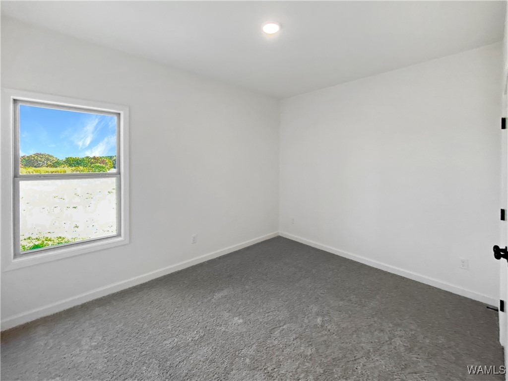 13871 Gilliam Road, Berry, Alabama image 15