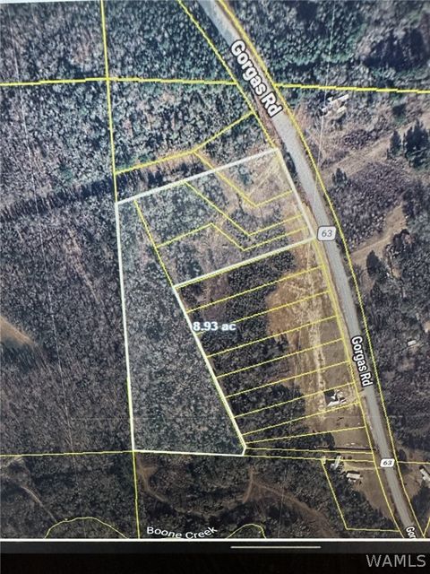 Vacant Land For Sale - 21732 Gorgas Rd Rd<br/> Berry, AL 35546