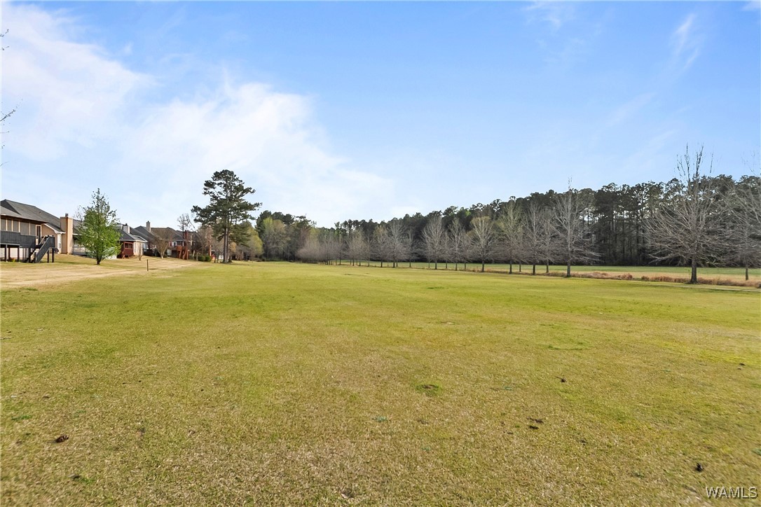 6200 Championship Drive, Tuscaloosa, Alabama image 32