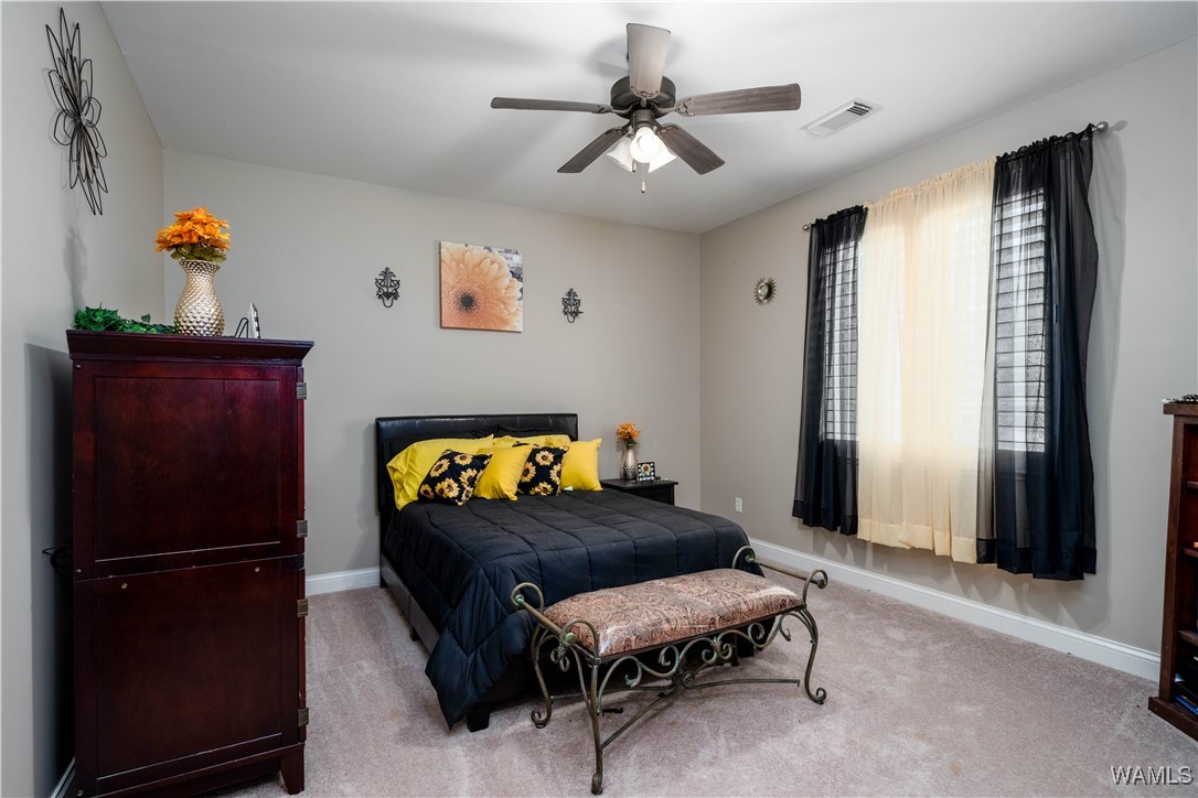 3938 Versailles Lane, Tuscaloosa, Alabama image 29