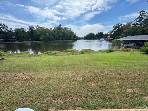 Vacant Land For Sale - 124 Clear Creek Road<br/> Hale County, Akron, AL 35441