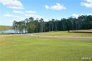 Lot 39 Highland Lakes Point Point, North Port, Alabama image 1