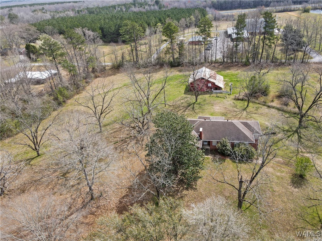 805 Hwy 17, Reform, Alabama image 30