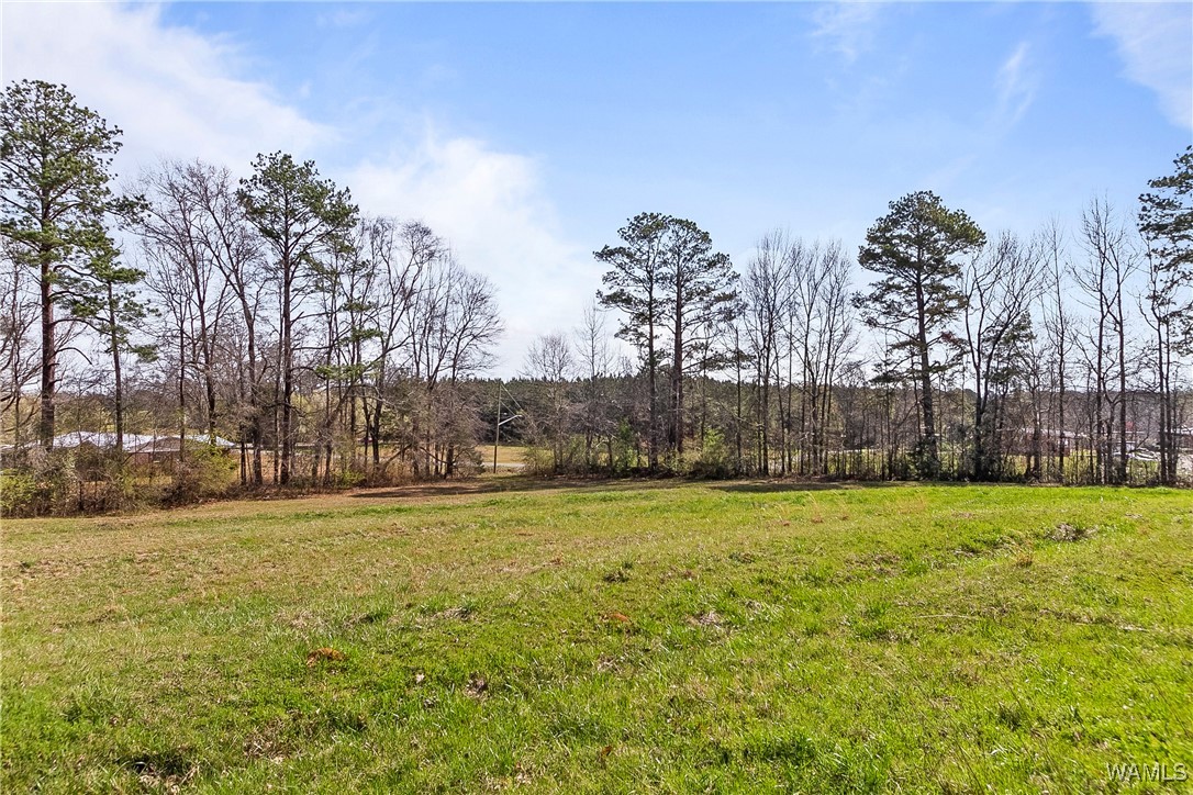 805 Hwy 17, Reform, Alabama image 26