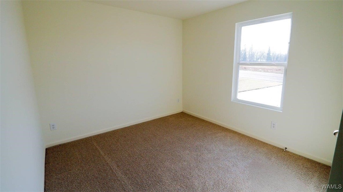 11329 Tulip Trace, Tuscaloosa, Alabama image 16