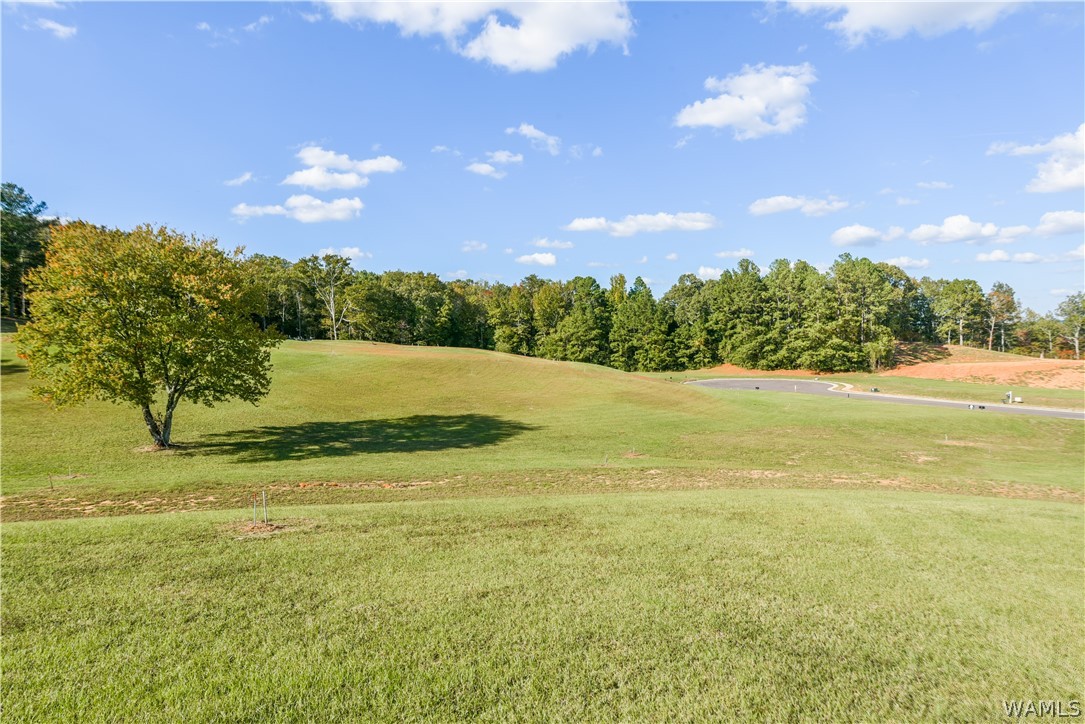 Lot 17 Highland Lakes Circle, North Port, Alabama image 7