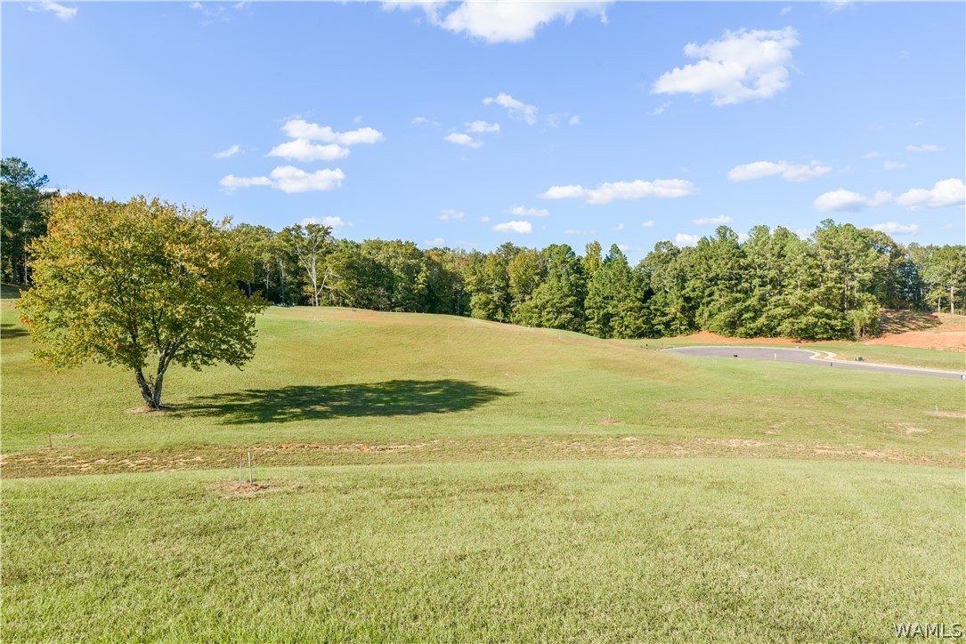 Lot 17 Highland Lakes Circle, North Port, Alabama image 6