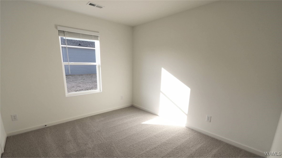 11330 Tulip Trace, Tuscaloosa, Alabama image 20